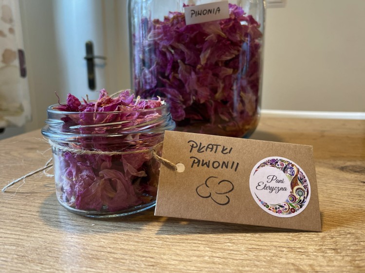 kwiaty piwonii suszone