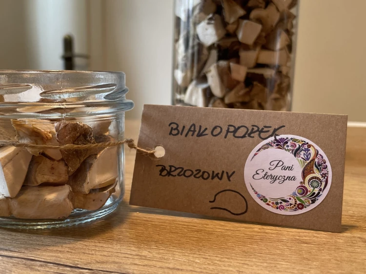 Białoporek brzozowy zebrany ręcznie